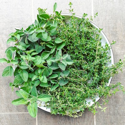 Oregano and Thyme Pizzas