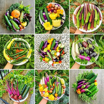 Why Grow Your Own?