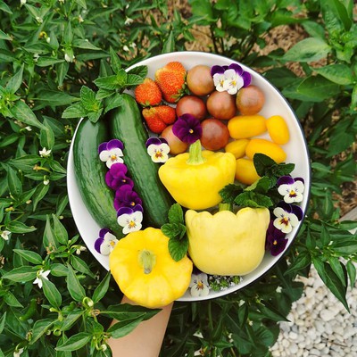 Seasonal Planting