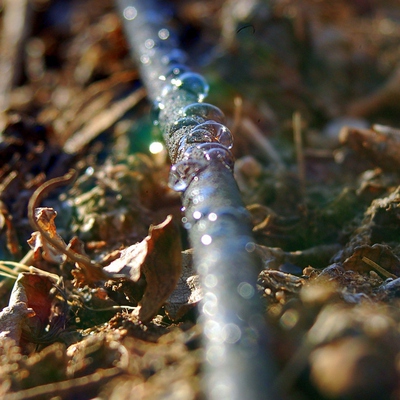 Image3 watering