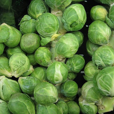 Image brusselsprouts