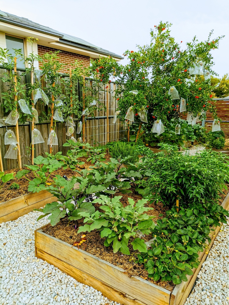 Image4 ediblegarden