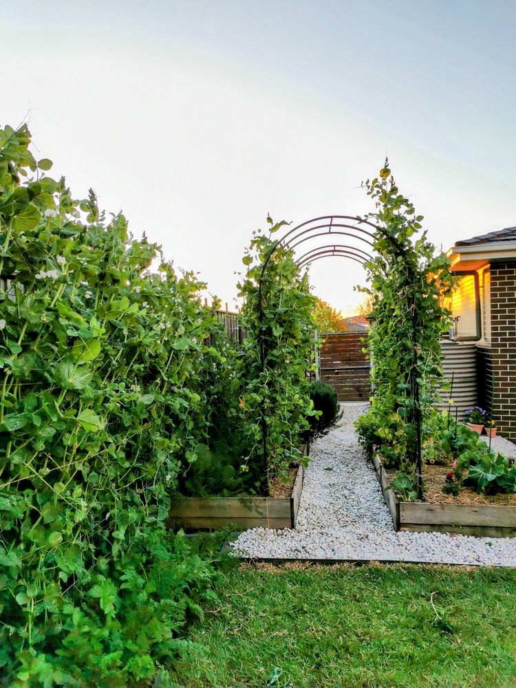 Image3 gardendesign