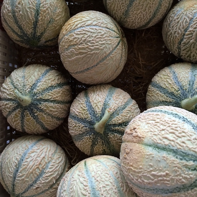 Image cantaloupe