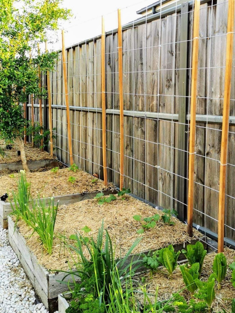 Image2 gardendesign