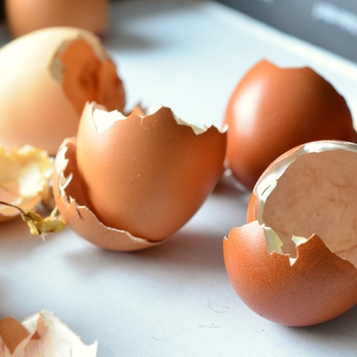 Image3 eggshells