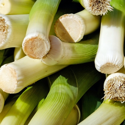 Leek Image2