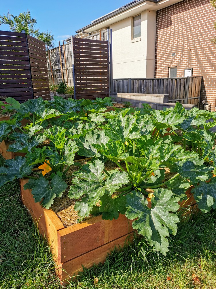 Image gardendesign